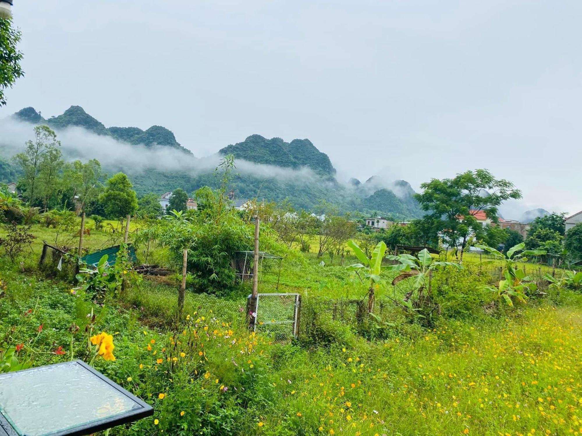 Jungle Boss Homestay Phong Nha Dış mekan fotoğraf