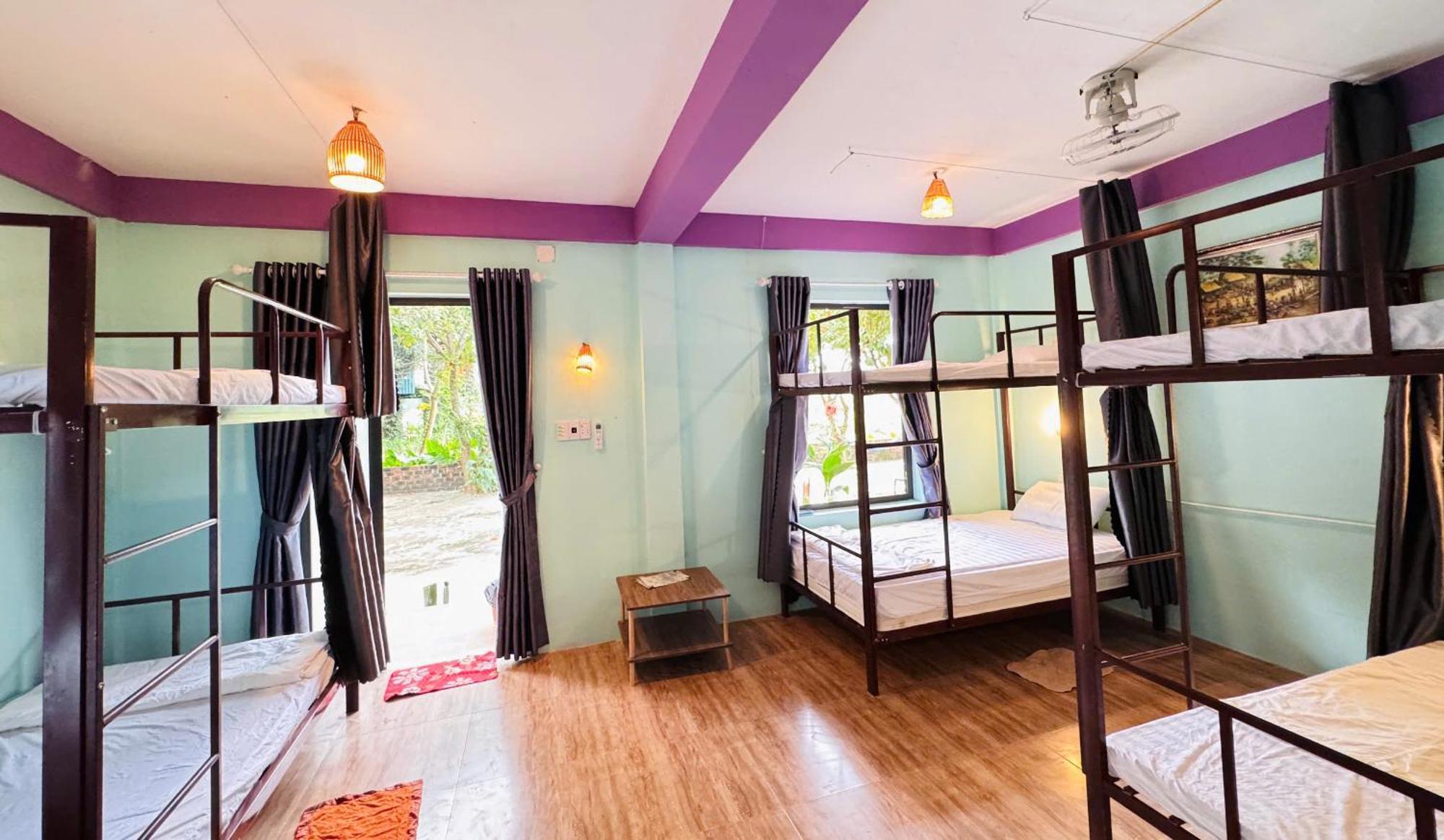 Jungle Boss Homestay Phong Nha Dış mekan fotoğraf
