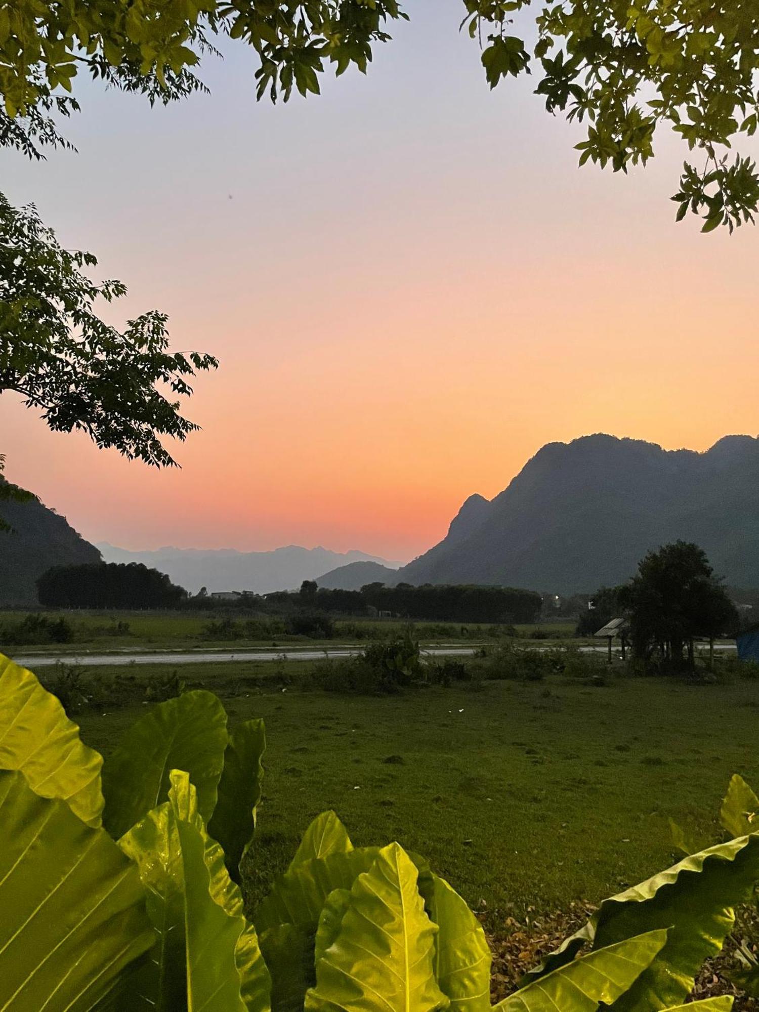 Jungle Boss Homestay Phong Nha Dış mekan fotoğraf