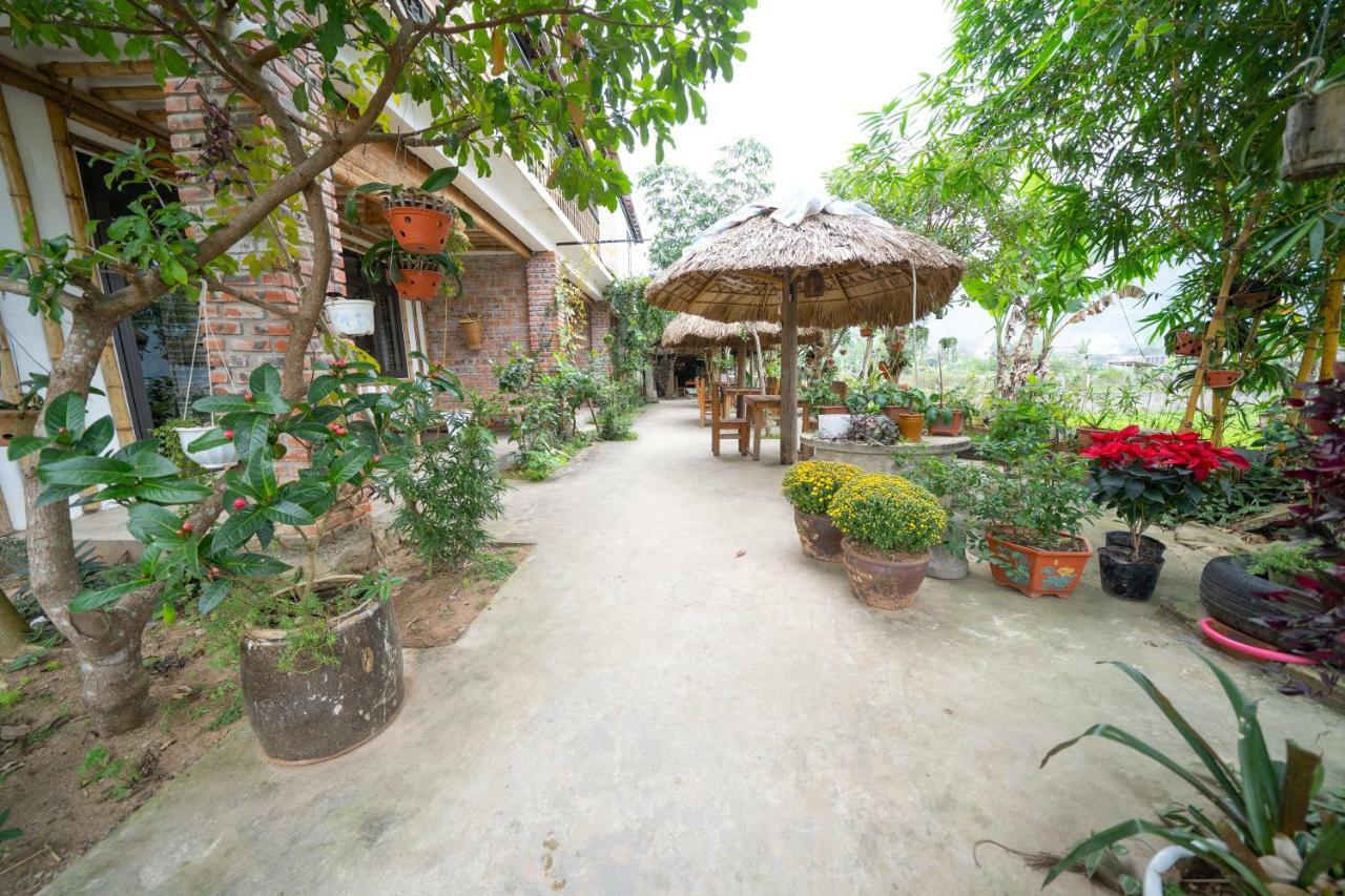 Jungle Boss Homestay Phong Nha Dış mekan fotoğraf